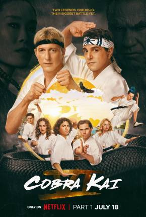 Baixar Cobra Kai - 6ª Temporada Dublada e Dual Áudio